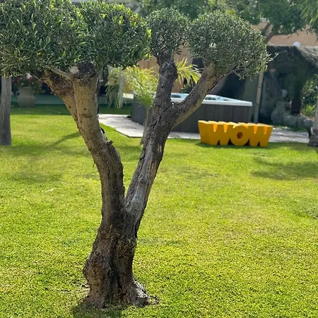 Parco Delle Agavi Otel Forio di Ischia
